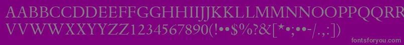 More about DanteTitlingMtRegular Font DanteTitlingMtRegular Font – Gray Fonts on Purple Background