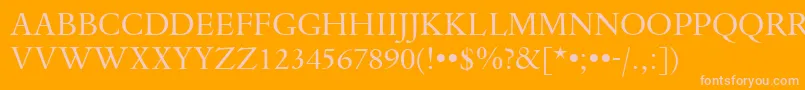 DanteTitlingMtRegular Font – Pink Fonts on Orange Background