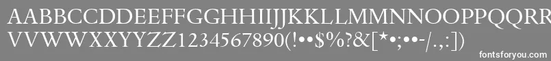 DanteTitlingMtRegular Font – White Fonts on Gray Background
