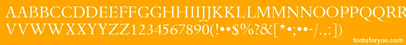 DanteTitlingMtRegular Font – White Fonts on Orange Background