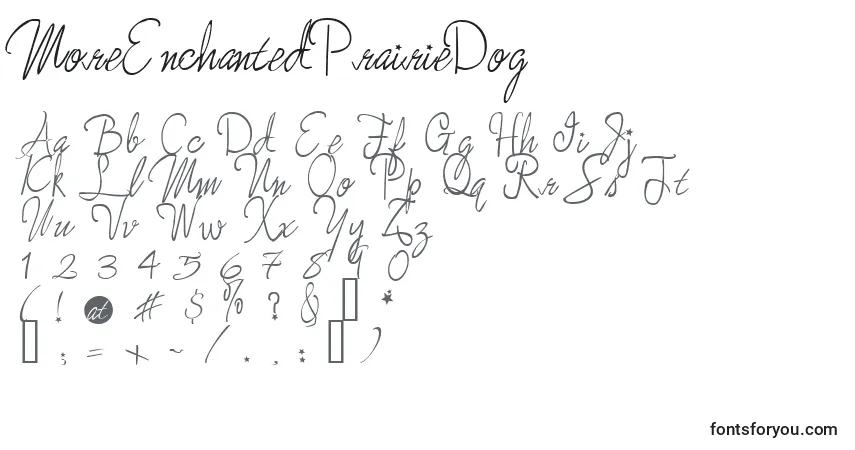 MoreEnchantedPrairieDog Font – alphabet, numbers, special characters