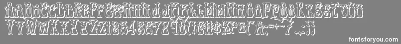 Instantzen3D Font – White Fonts on Gray Background