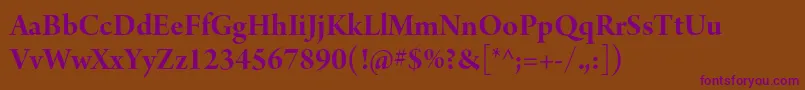 ArnoproBolddisplay-Schriftart – Violette Schriften auf braunem Hintergrund