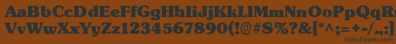 フォントTypographersubwayBlack – 黒い文字が茶色の背景にあります
