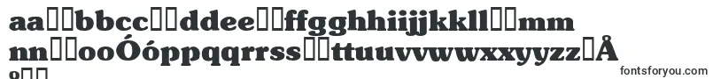 Шрифт TypographersubwayBlack – польские шрифты