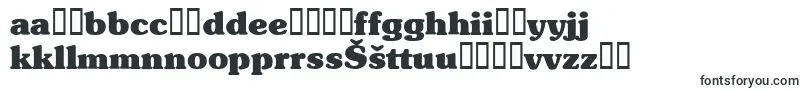 Police TypographersubwayBlack – polices lituaniennes