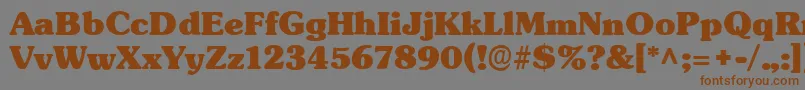 TypographersubwayBlack Font – Brown Fonts on Gray Background