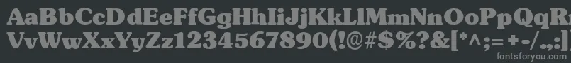 フォントTypographersubwayBlack – 黒い背景に灰色の文字