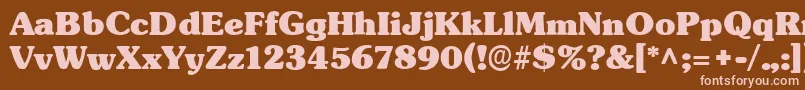 フォントTypographersubwayBlack – 茶色の背景にピンクのフォント