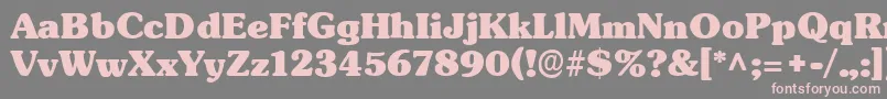フォントTypographersubwayBlack – 灰色の背景にピンクのフォント