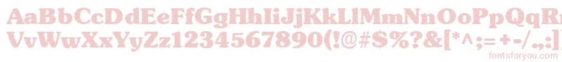 TypographersubwayBlack Font – Pink Fonts on White Background