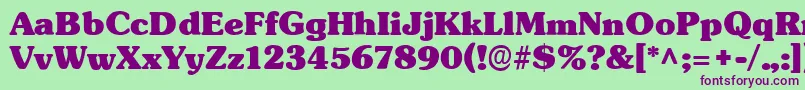 TypographersubwayBlack Font – Purple Fonts on Green Background