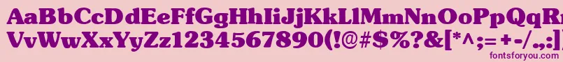 TypographersubwayBlack Font – Purple Fonts on Pink Background