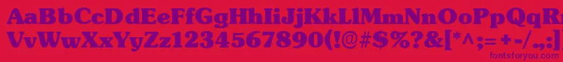 TypographersubwayBlack Font – Purple Fonts on Red Background