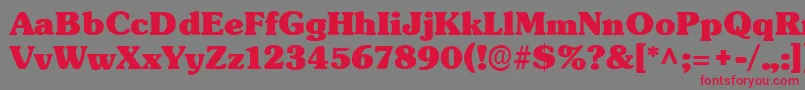 TypographersubwayBlack-fontti – punaiset fontit harmaalla taustalla