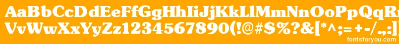 TypographersubwayBlack Font – White Fonts on Orange Background