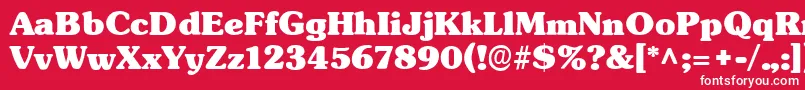 TypographersubwayBlack Font – White Fonts on Red Background