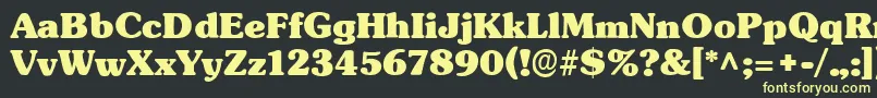 TypographersubwayBlack Font – Yellow Fonts on Black Background