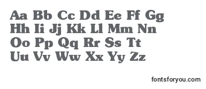 Обзор шрифта TypographersubwayBlack
