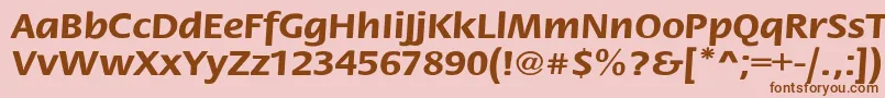 StackextBold Font – Brown Fonts on Pink Background