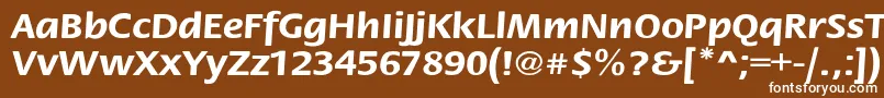 フォントStackextBold – 茶色の背景に白い文字