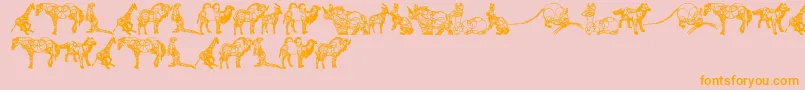 AnimalLine Font – Orange Fonts on Pink Background