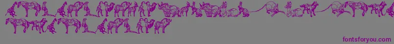 フォントAnimalLine – 紫色のフォント、灰色の背景