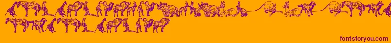 AnimalLine-fontti – violetit fontit oranssilla taustalla