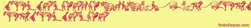 Czcionka AnimalLine – czerwone czcionki na żółtym tle