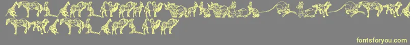 AnimalLine-Schriftart – Gelbe Schriften auf grauem Hintergrund