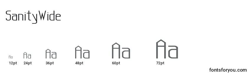 SanityWide Font Sizes