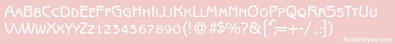 B691SansSmcBold Font – White Fonts on Pink Background