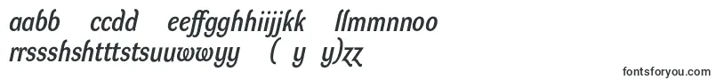 フォントDynagrotesklmBolditalic – ハウスフォント
