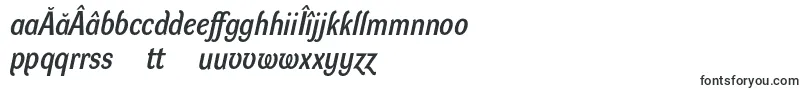 DynagrotesklmBolditalic Font – Romanian Fonts