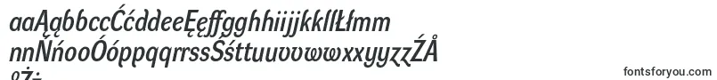 DynagrotesklmBolditalic Font – Polish Fonts