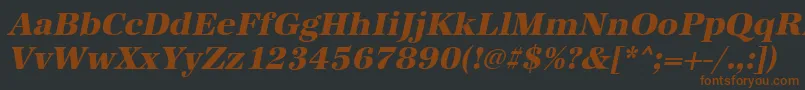 AntiquastdXboldItalic Font – Brown Fonts on Black Background