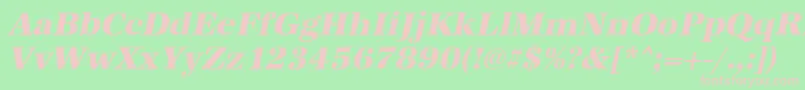 AntiquastdXboldItalic Font – Pink Fonts on Green Background