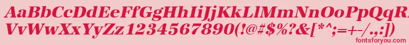 AntiquastdXboldItalic Font – Red Fonts on Pink Background