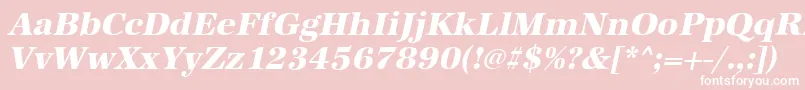 AntiquastdXboldItalic Font – White Fonts on Pink Background