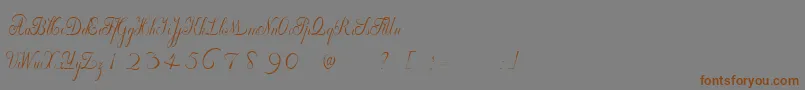 WilleghaUnregistered Font – Brown Fonts on Gray Background