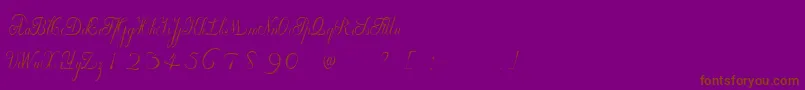 WilleghaUnregistered Font – Brown Fonts on Purple Background