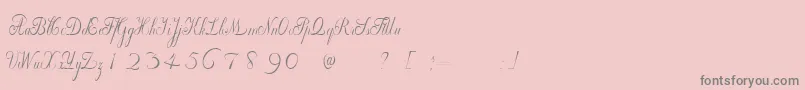 WilleghaUnregistered Font – Gray Fonts on Pink Background