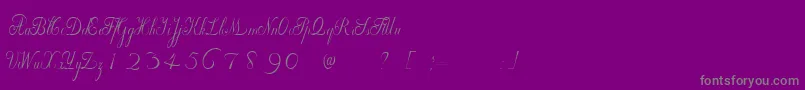 WilleghaUnregistered Font – Gray Fonts on Purple Background