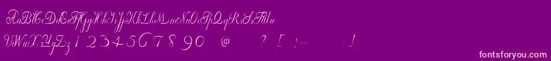 WilleghaUnregistered Font – Pink Fonts on Purple Background