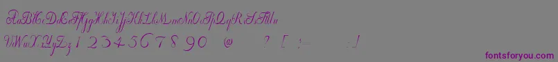 WilleghaUnregistered Font – Purple Fonts on Gray Background