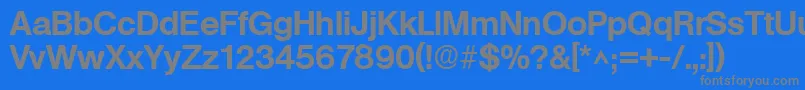 BasicSansSfBold Font – Gray Fonts on Blue Background