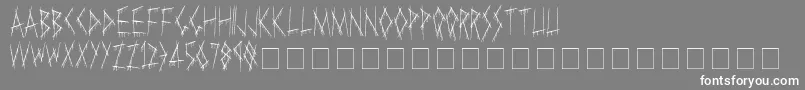 フォントSlasha – 灰色の背景に白い文字
