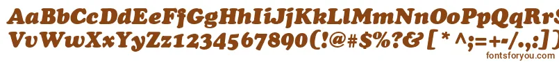 Agcoopi Font – Brown Fonts on White Background