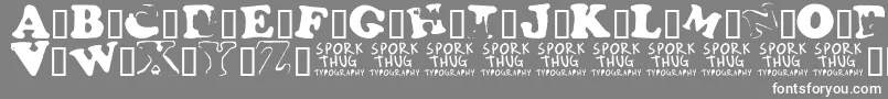 Fridge Font – White Fonts on Gray Background