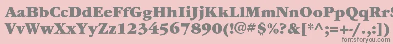 ItcgaramondstdUlt Font – Gray Fonts on Pink Background